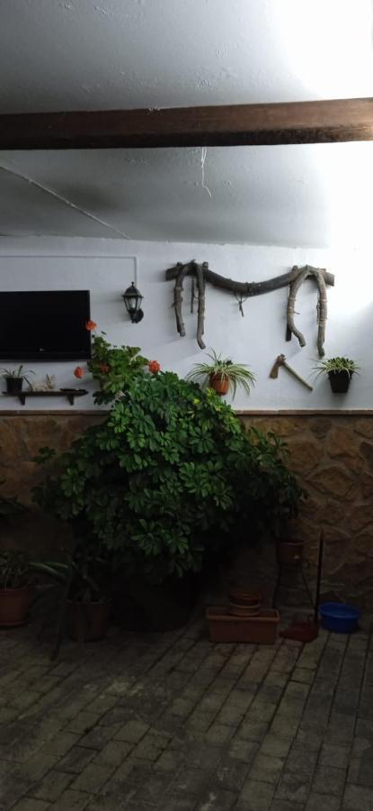 Casa Cueva El Almendro Casa de hóspedes Pegalajar Exterior foto